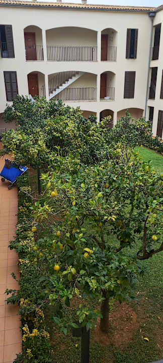 Gartenanlage Protur Floriana Resort Aparthotel