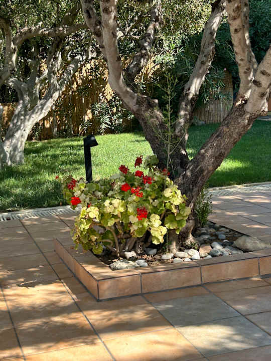 Gartenanlage Tylissos Beach Hotel