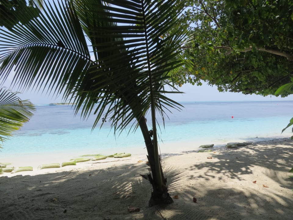 Strand Vilamendhoo Island Resort & Spa