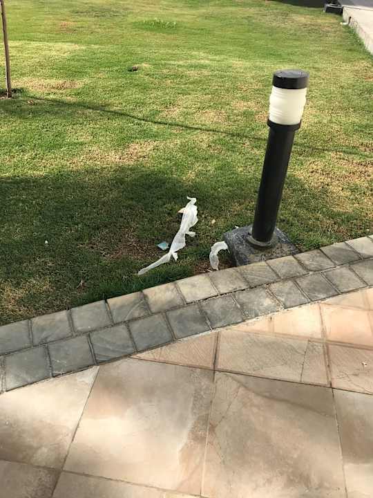 Verschmutzungen im Garten.  Pickalbatros Dana Beach Resort - Hurghada