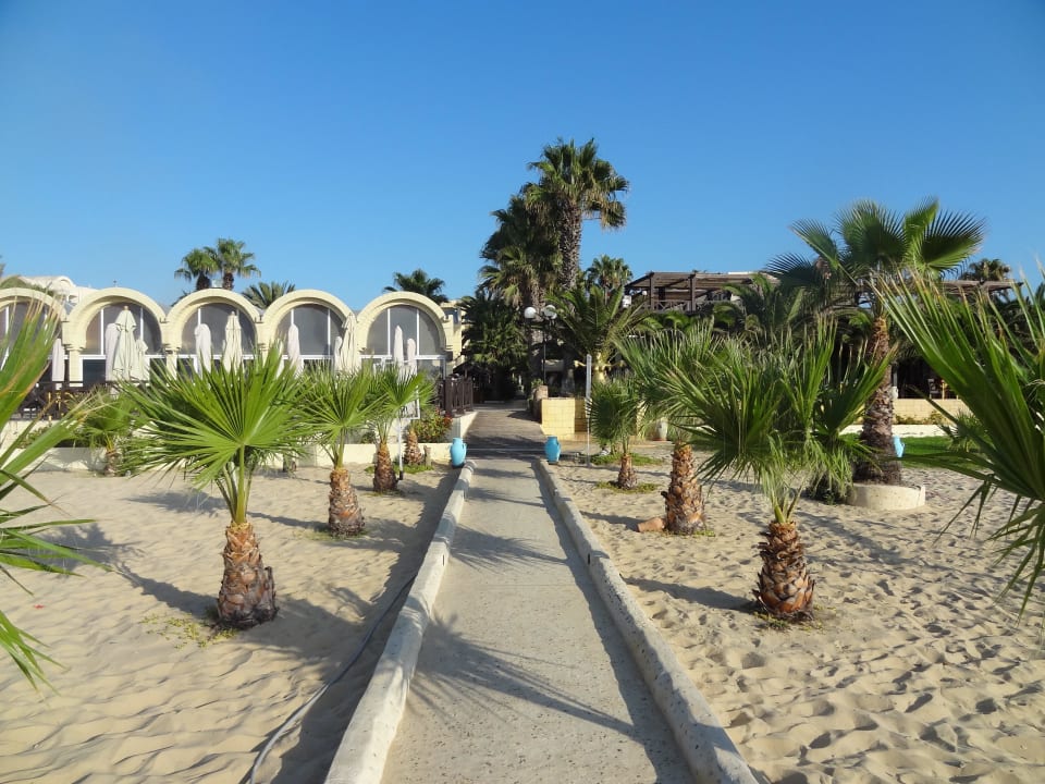 Blick auf die Strandbar Hotel Paradis Palace