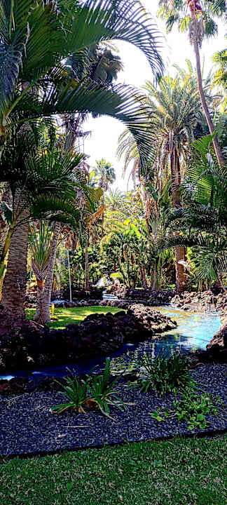 Gartenanlage Hotel Riu Palace Oasis
