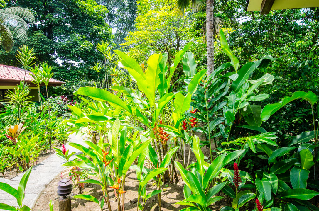 Gartenanlage Volcano Lodge, Hotel & Thermal Experience