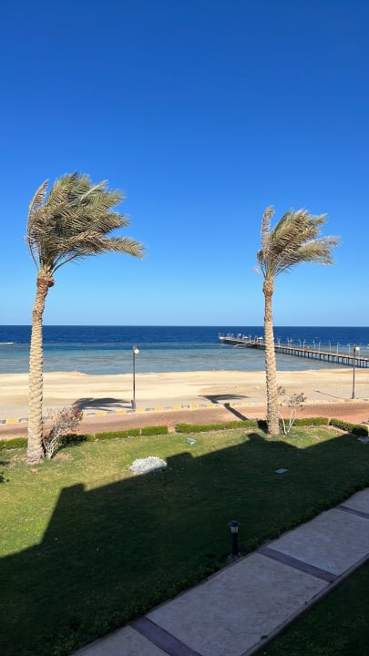 Ausblick Malikia Resort Abu Dabbab