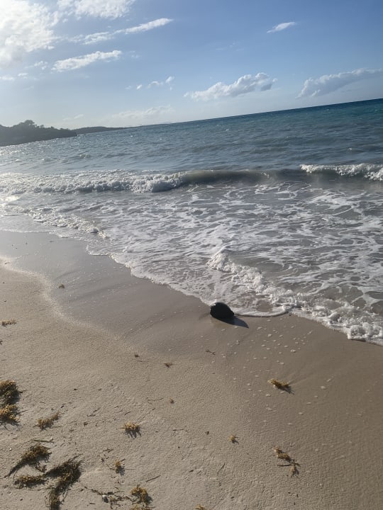 Strand Royal Service at Paradisus Río de Oro Resort & Spa
