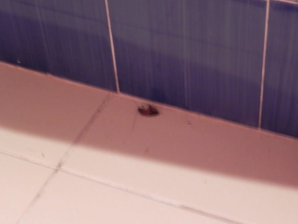 Kakalake SBH Costa Calma Beach Resort