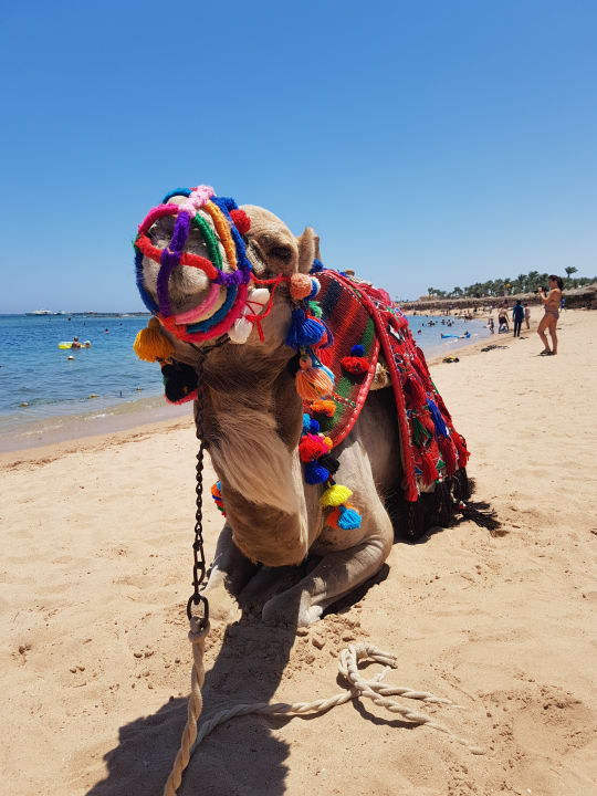 Strand Jaz Makadina