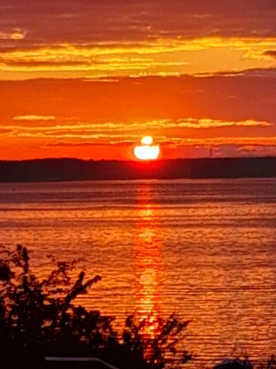 Ausblick Hotel Fleesensee Resort & Spa