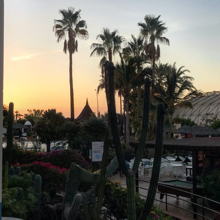 Gartenanlage IFA Altamarena by Lopesan Hotels