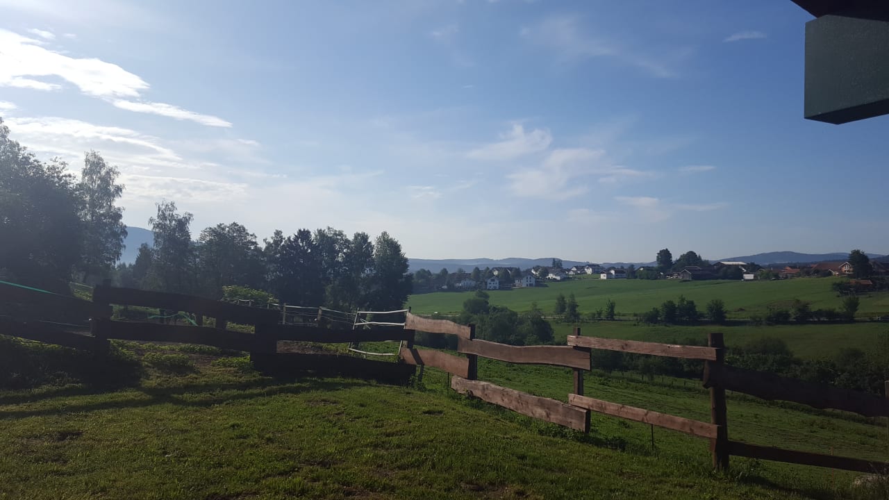 und nochmal Pferdekoppeln! Tigerhill-Ranch-Norikerhof