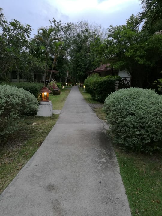 Gartenanlage Coco Palm Beach Resort