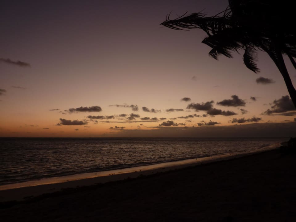 Sonnenaufgang Catalonia Royal Bavaro - Adults only