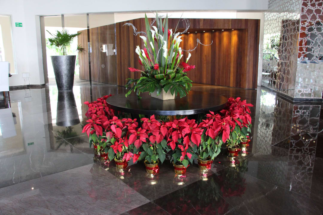 Lobby Grand Oasis Tulum Riviera - All Inclusive