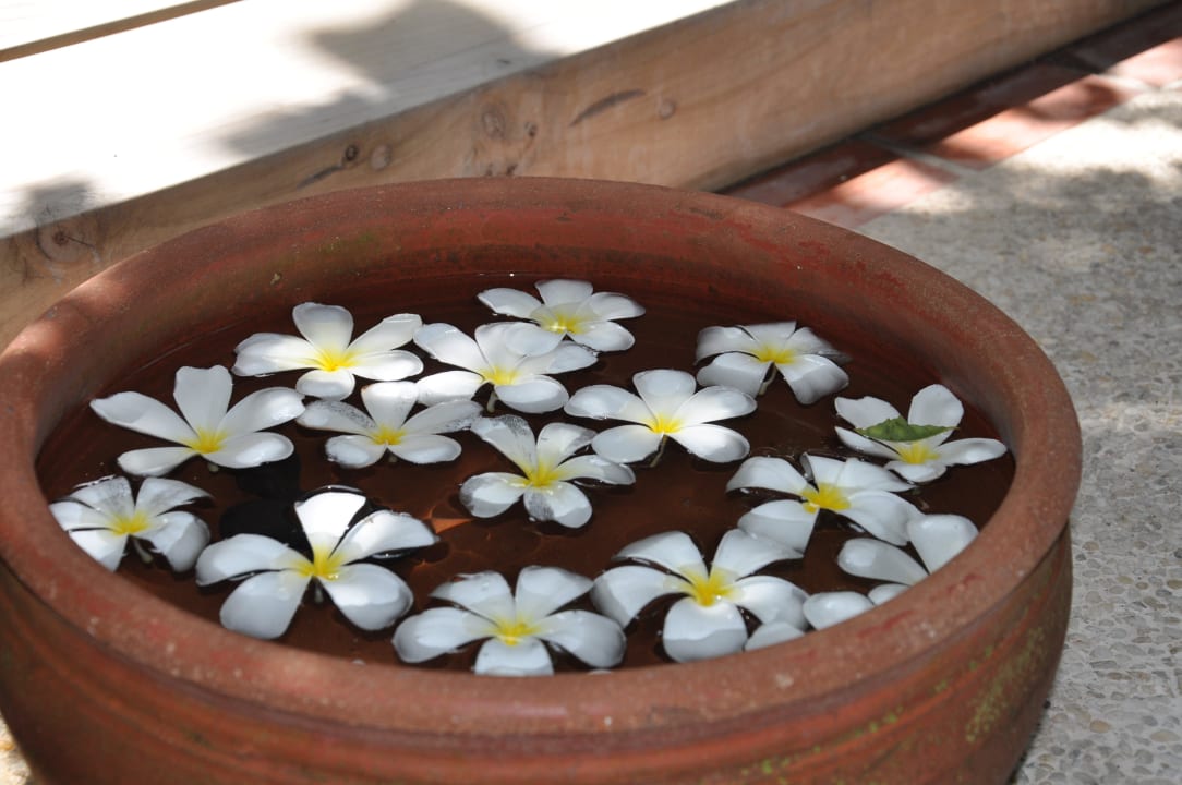 Spa Kuramathi Maldives