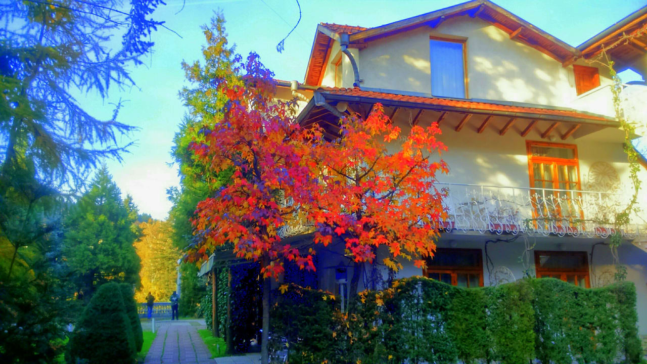 Außenansicht Park Hotel Amfora