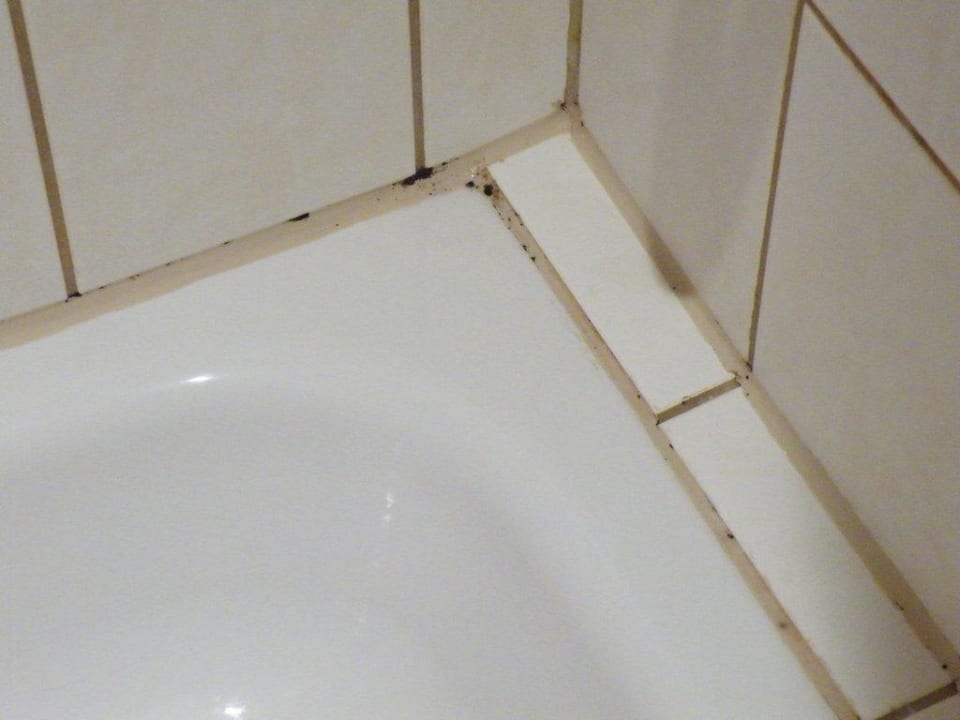 Schwarzschimmel in der Dusche Vital-Hotel am Thüringer Wald