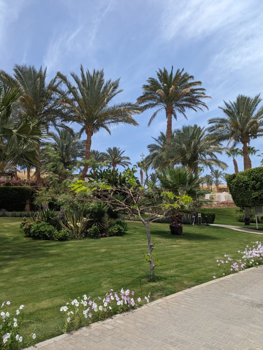 Gartenanlage Steigenberger Coraya Beach - Adults only