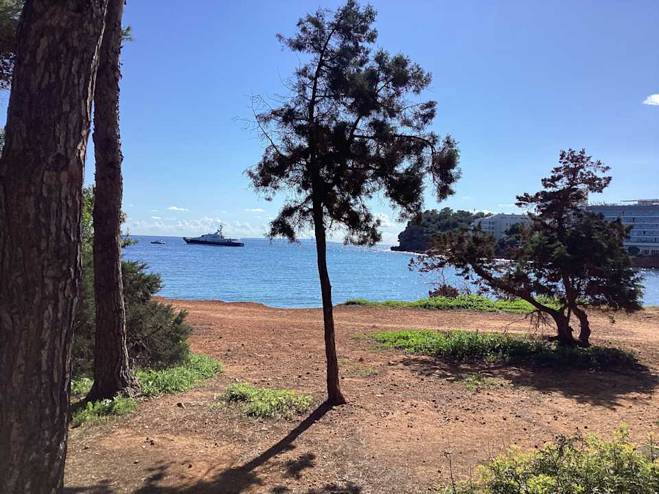 Gartenanlage Grupotel Santa Eularia & Spa - Adults only