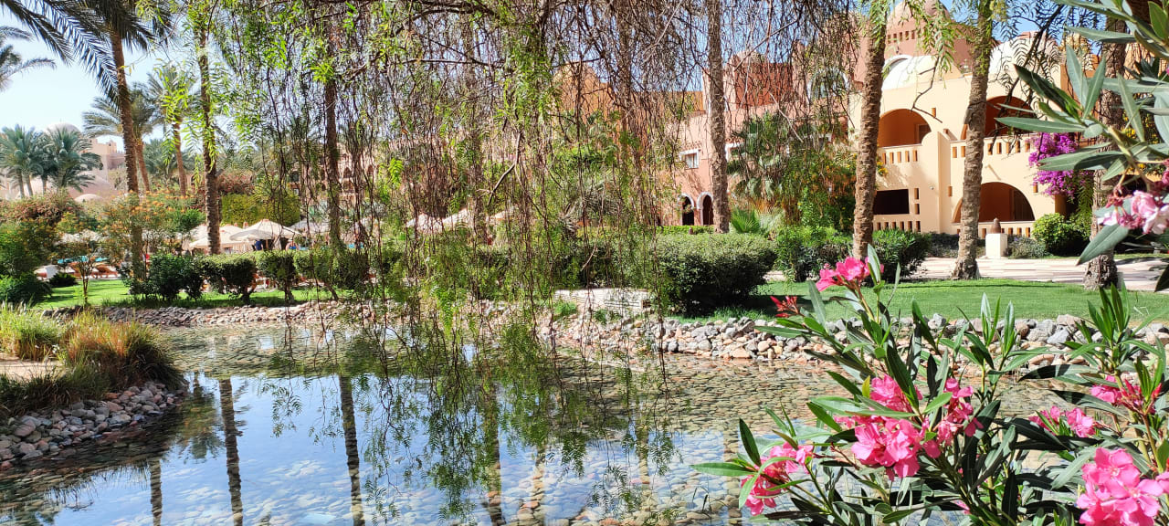 Gartenanlage Makadi Palace