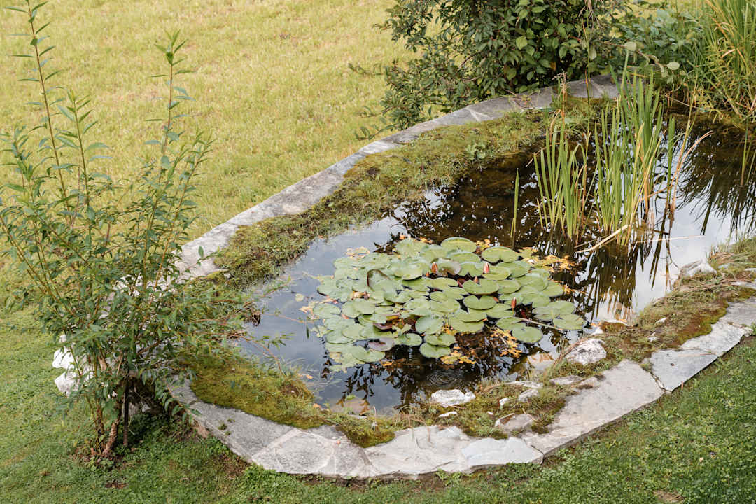 Gartenanlage Al Plan