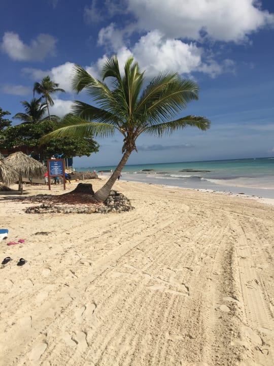 Strand Ocean Blue & Sand