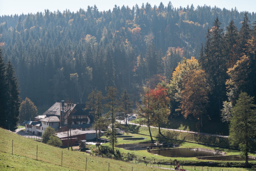 Außenansicht Hotel Tannenmühle