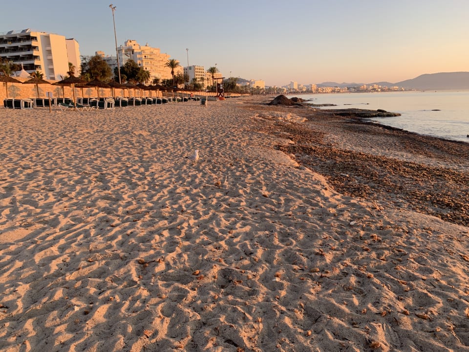 Strand Hipotels Hipocampo Playa