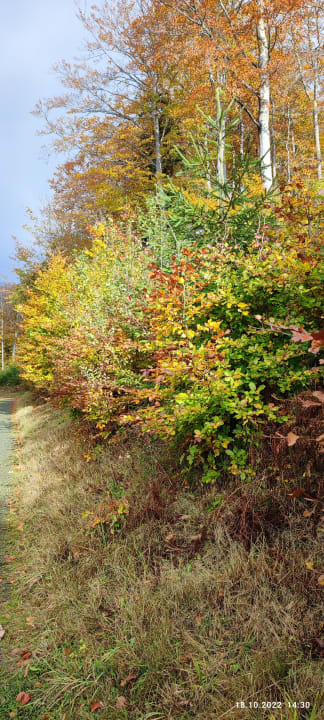 Gastro Berghotel Hoher Knochen