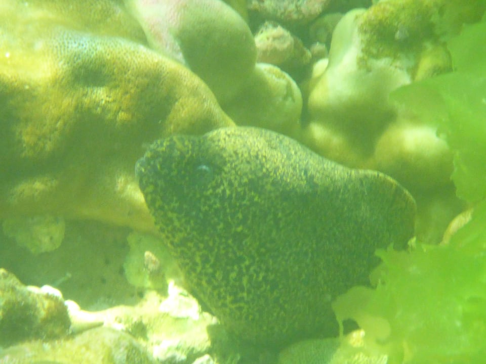 Strand Wyndham Garden Salalah Mirbat