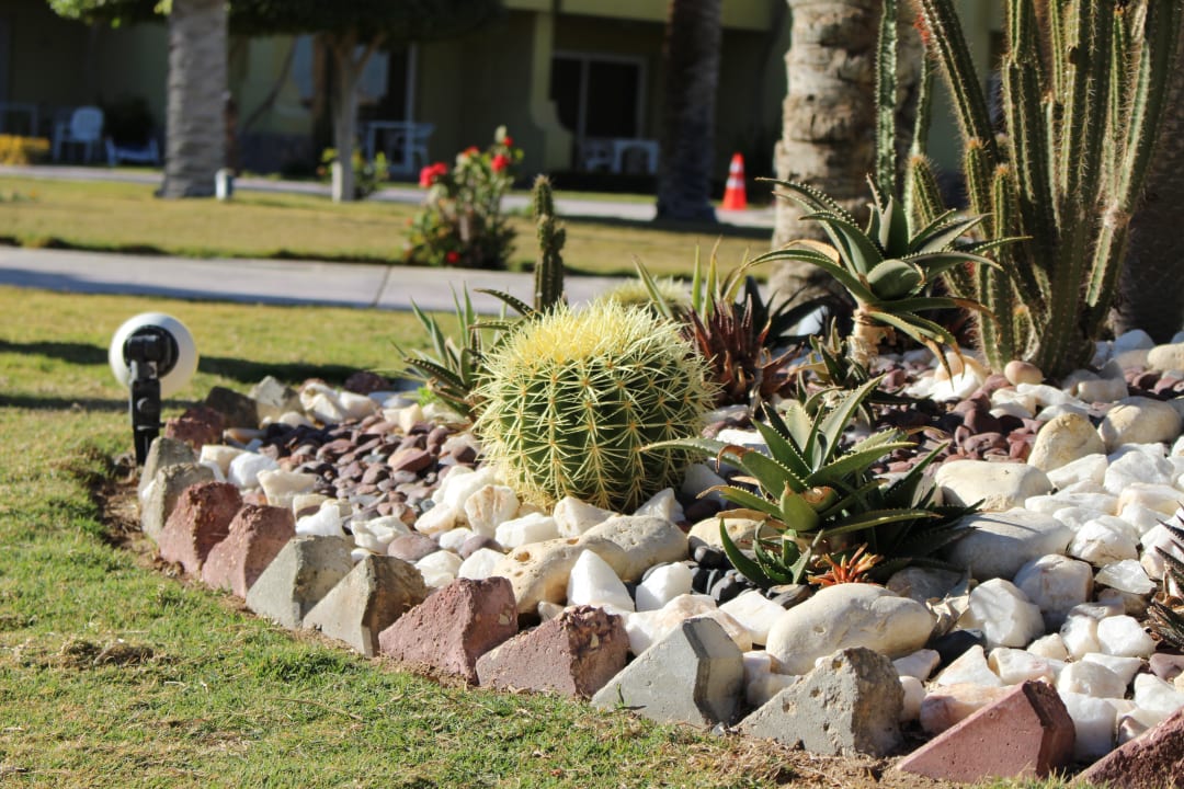 Gartenanlage Palm Beach Resort
