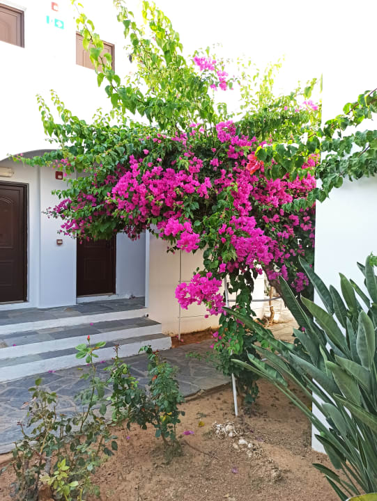 Gartenanlage Hotel Geraniotis Beach