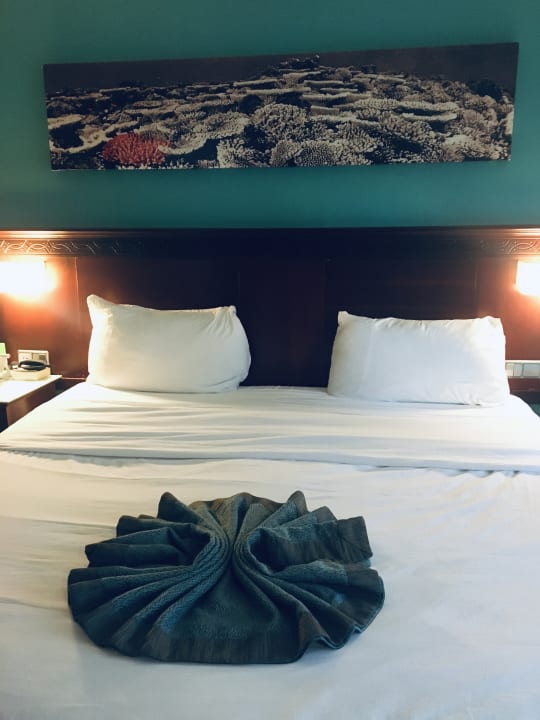 Zimmer Grand Palladium Select Bávaro Resort & Spa