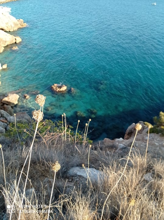 Ausblick La Finca Marina