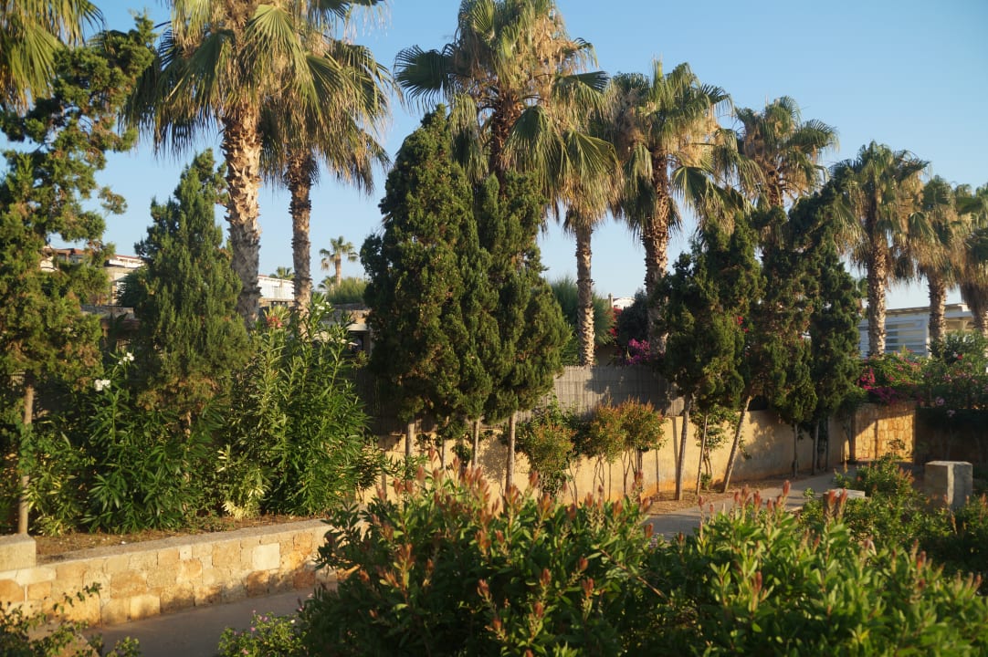 Garten Kernos Beach Hotel & Bungalows