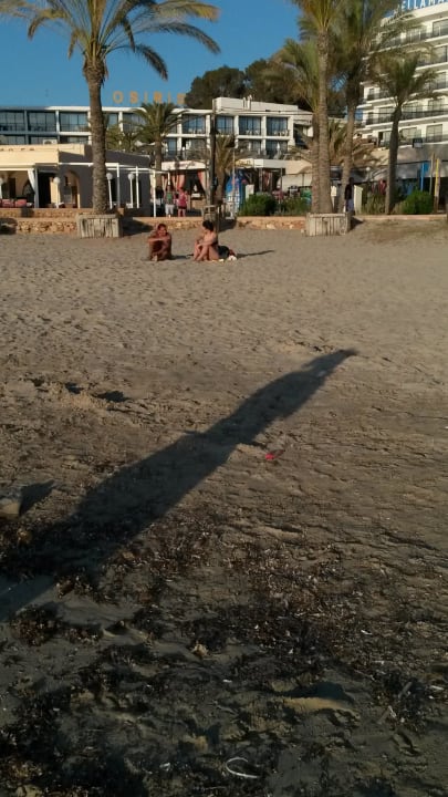 Sauberer Strand Hotel Osiris