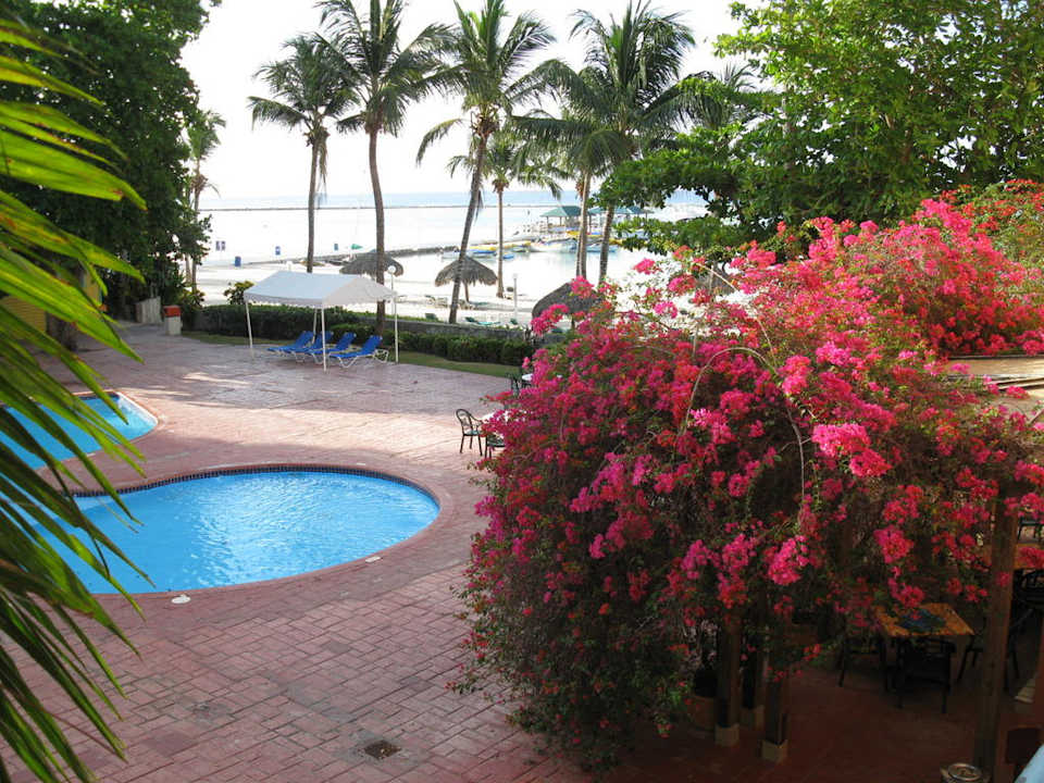 Vom Zimmer gesehen whala!boca chica