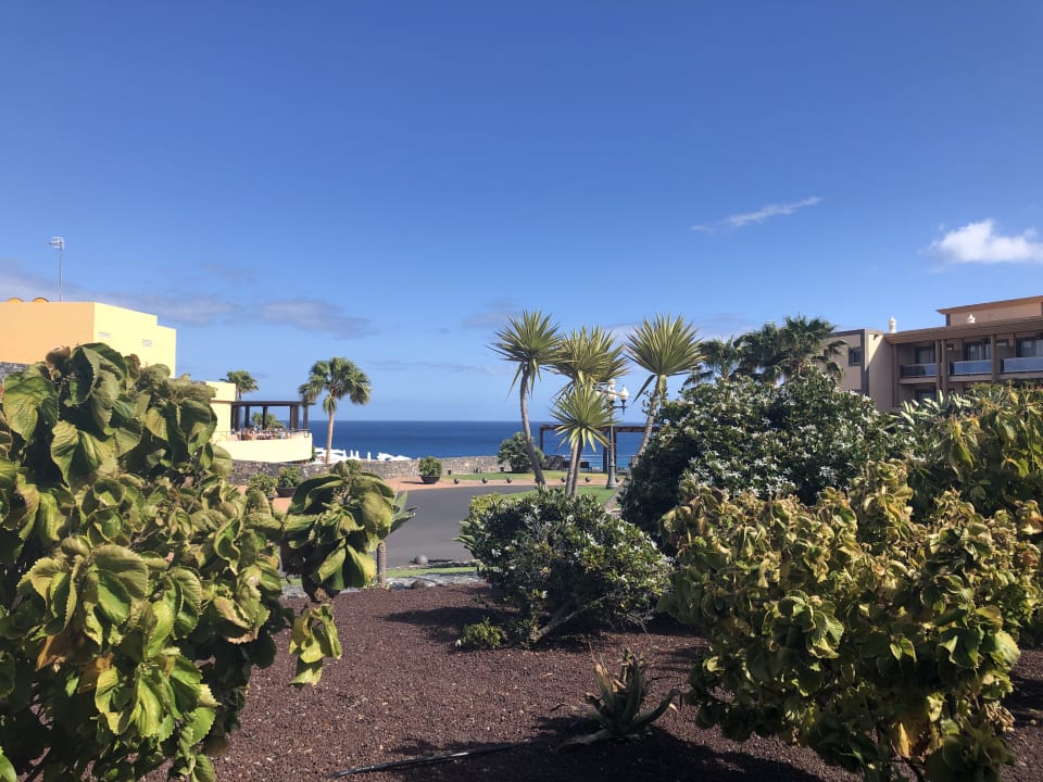 Garten Iberostar Waves Gaviotas Park