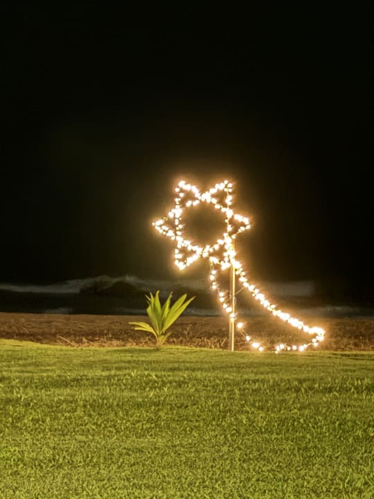 Sport & Freizeit EKHO Surf