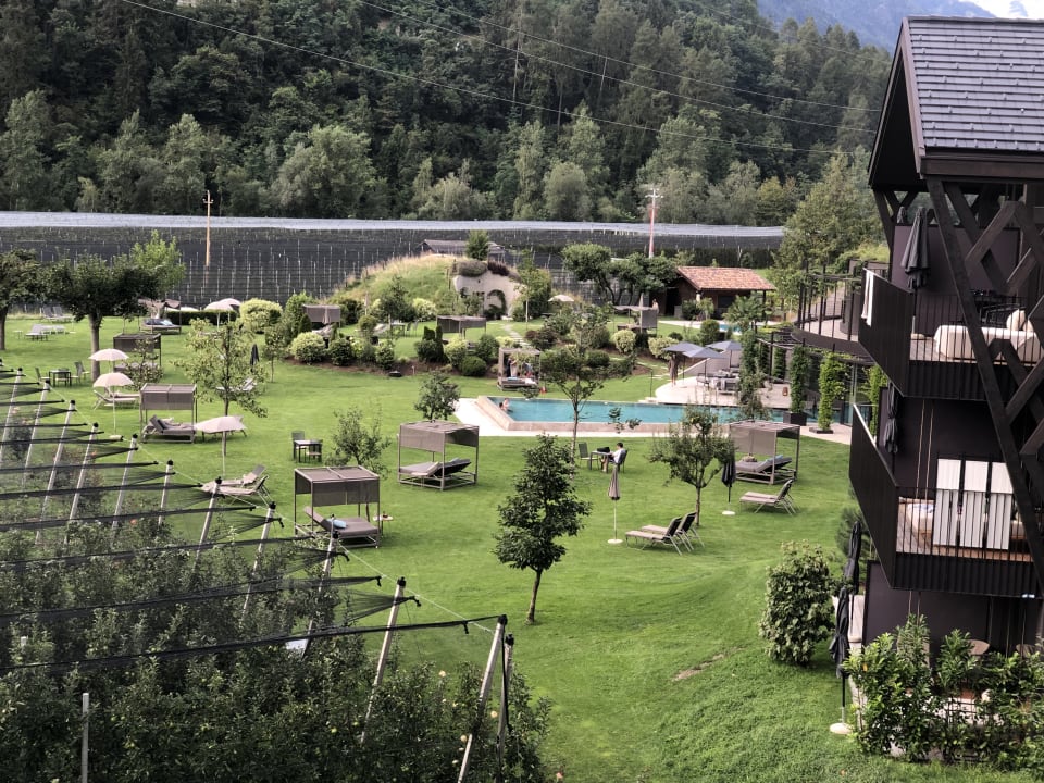 Ausblick Apfelhotel - Torgglerhof (Saltaus)