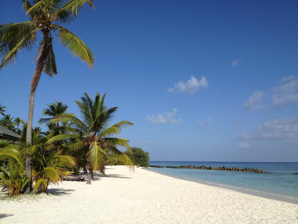 Der Nordstrand ist auch super schön Kuredu Island Resort & Spa