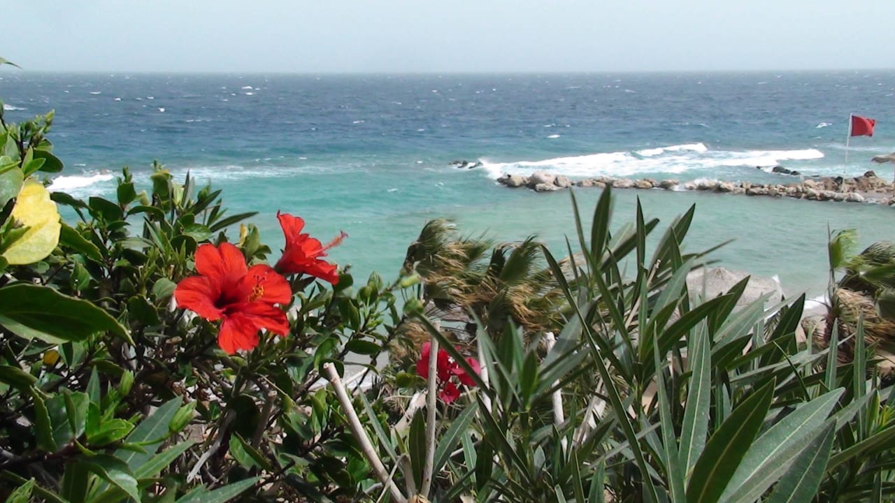 Am Strand an der kleinen Lagune zum Schnorcheln Pickalbatros Citadel Resort