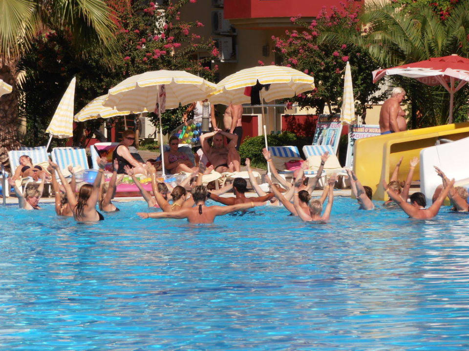 Wassergymnastik Hotel Orfeus Park
