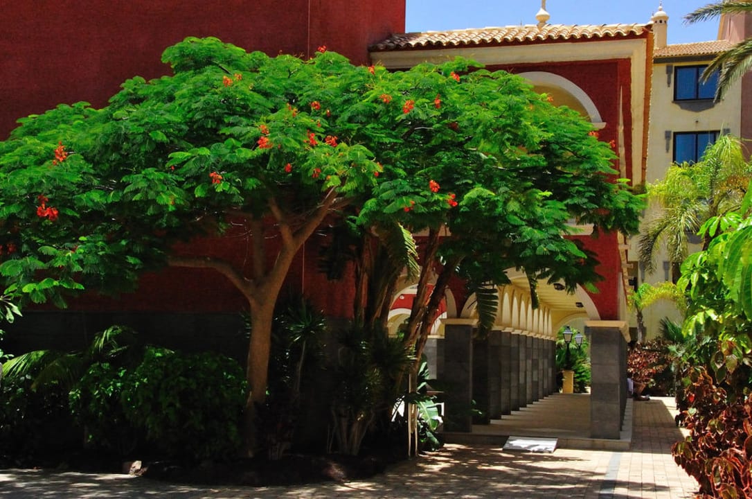 Garten R2 Rio Calma Hotel & Spa & Conference