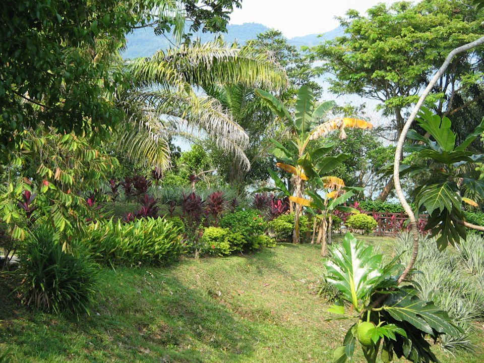 Gartenanlage Aiman Batang Ai Resort & Retreat