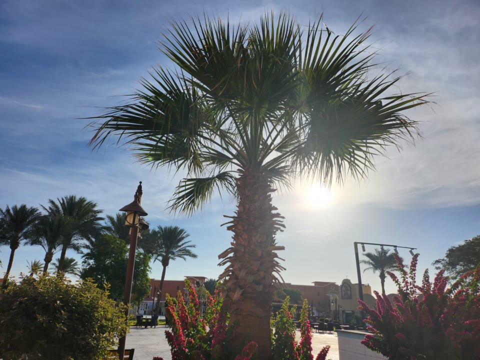 Gartenanlage Sentido Caribbean World Soma Bay