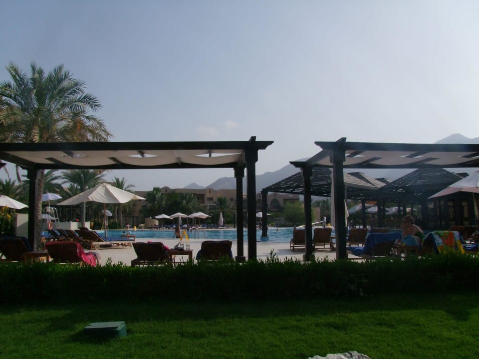 Piscine et allentours Miramar Al Aqah Beach Resort