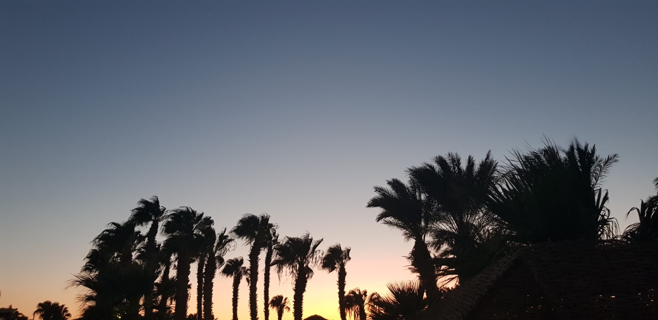 Außenansicht Lotus Bay Beach Resort