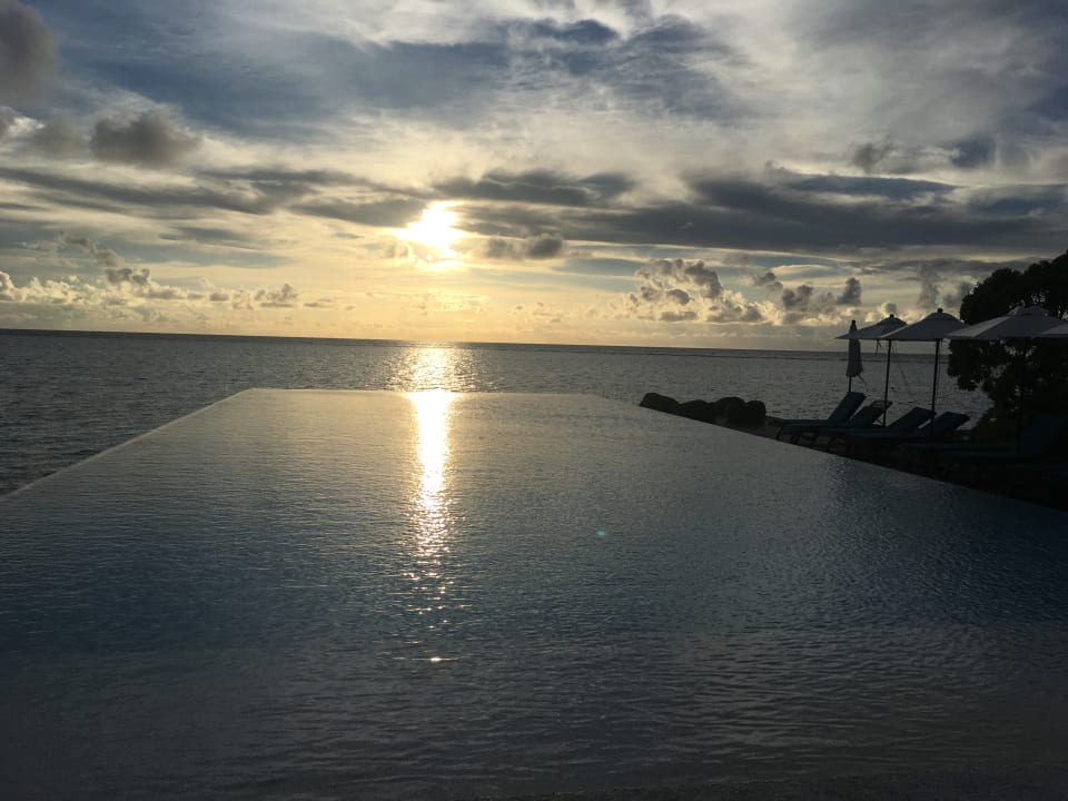 Pool Summer Island Maldives