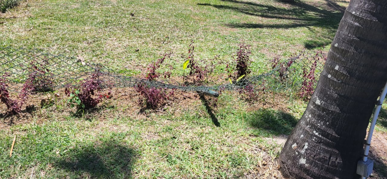 Gartenanlage Tarisa Resort & Spa