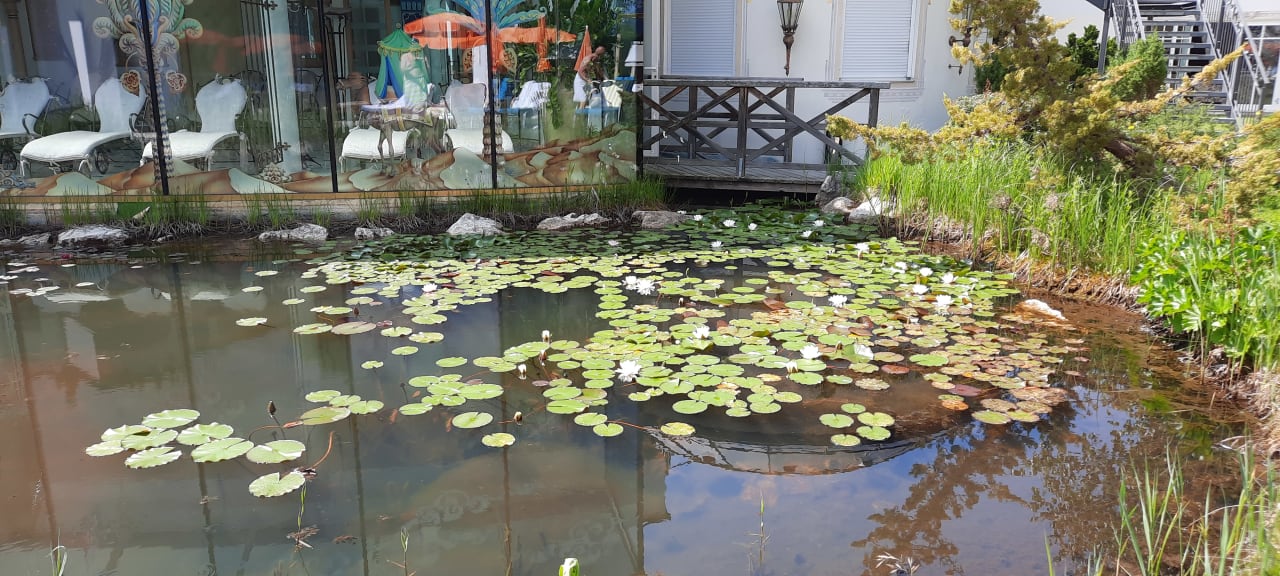 Gartenanlage Wohlfühlresort Peternhof